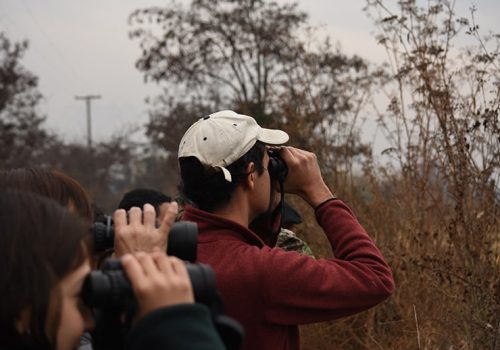 Salida ROC Rinconada de Maipú - Franco Villalobos-min