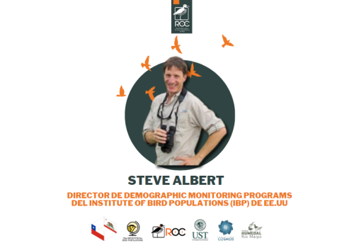 Steve Albert