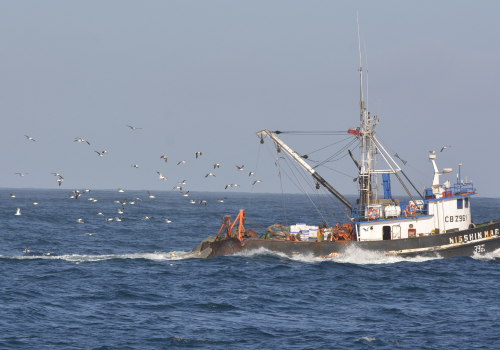 Taller amenazas aves marinas Chile ROC