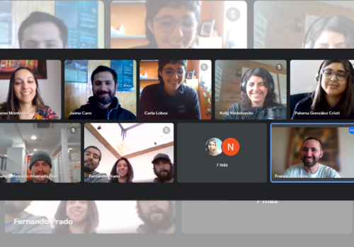 Taller eBird Pichilemu