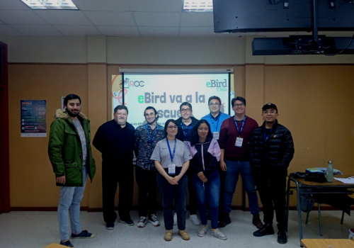 Taller eBird
