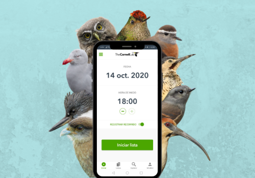 Taller eBird - web