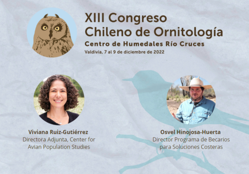 Talleres eBird