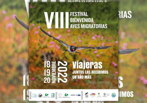 VIIFEST