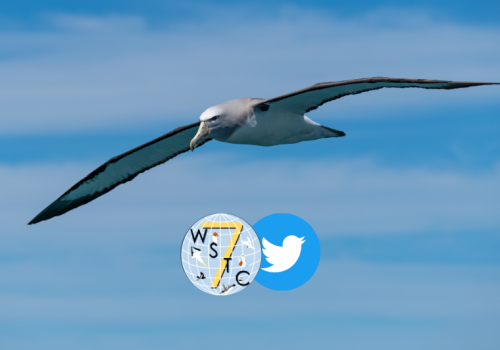 WSTC7