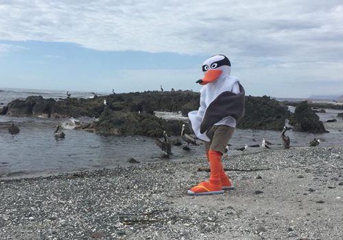 WhatsApp Image 2020-01-26 at 10.25