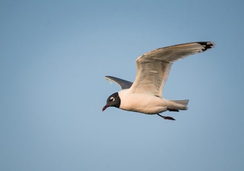 XV Abril 2017 (567)-min