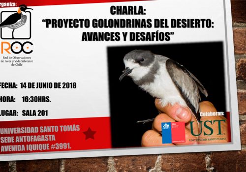 afiche-charla-ANTOFA2