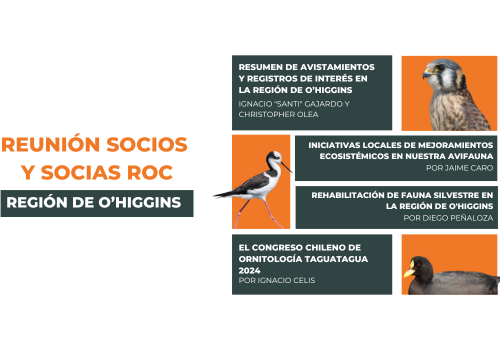 reunion socios roc pichilemu