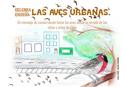 celebra-las-aves-urbanas-portada