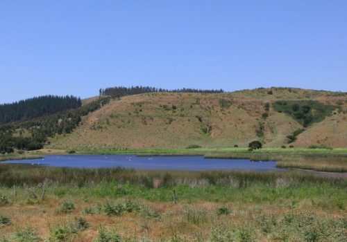 culenar_paisaje-01