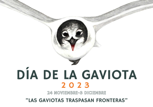 “las gaviotas traspasan fronteras”