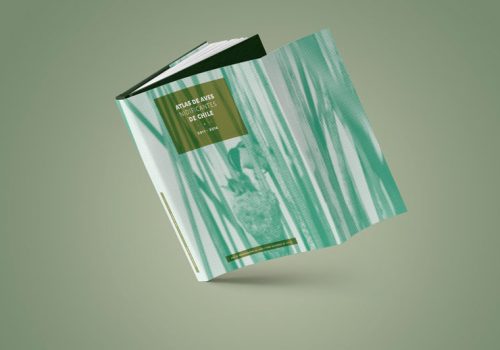 mockup-3