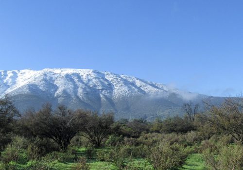 panul-01