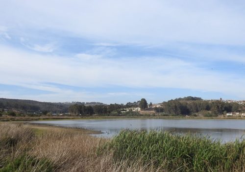 peral_paisaje-01
