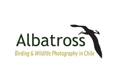 portada entradas wordpress (3)