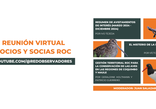 reunion virtual socios Diciembre