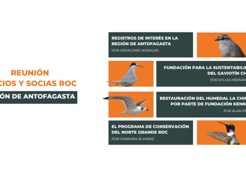 reuniones ROC R ANTOFAGASTA