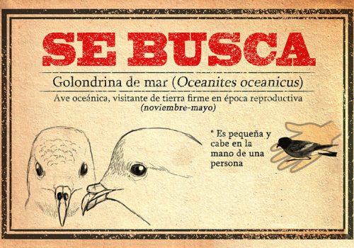 se_busca_superior