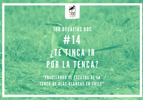 ¿Te tinca ir por la tenca
